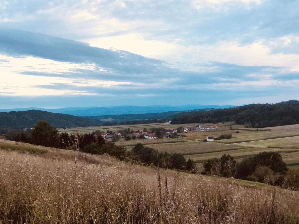 Landvilla Sinelia Premium Dietersdorf am Gnasbach Eksteriør billede